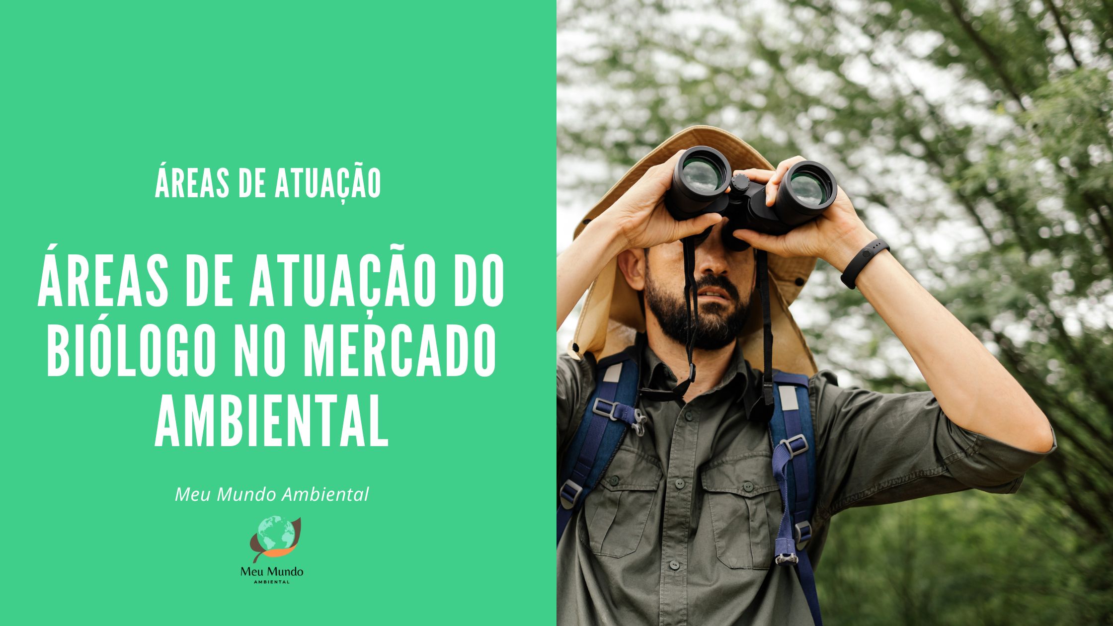 Áreas de Atuação do Biólogo no Mercado Ambiental