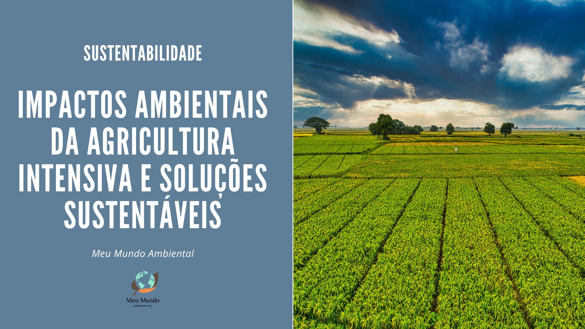 Agricultura Intensiva e Soluções Sustentáveis