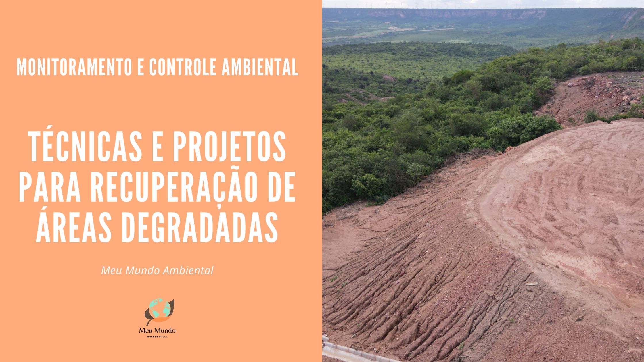 Descubra 7 técnicas essenciais para a recuperação de áreas degradadas e explore projetos práticos com dicas e equipamentos que fazem a diferença. Leia mais e compartilhe!