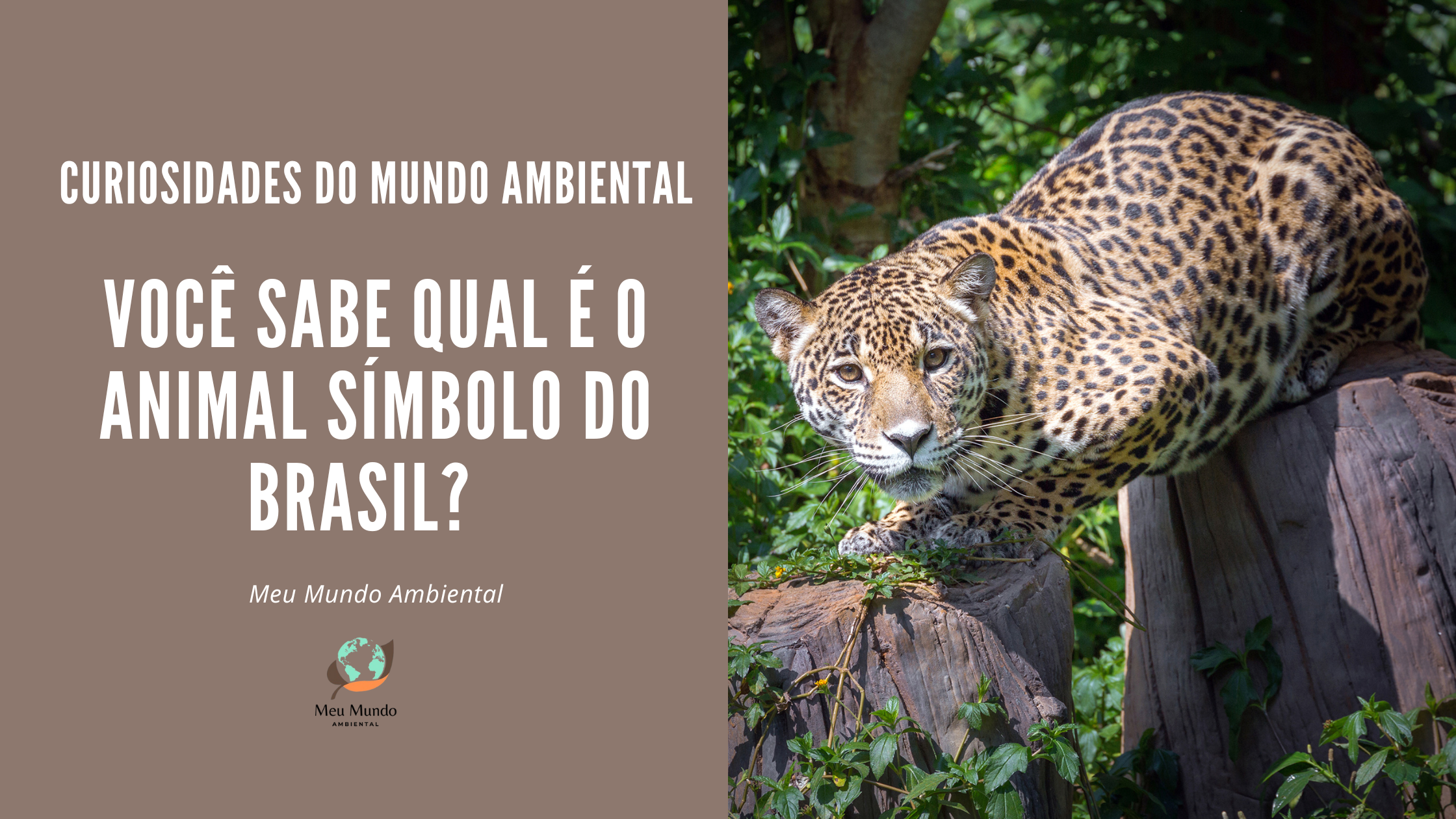 "Você sabe qual é o animal símbolo do Brasil"